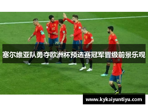 塞尔维亚队勇夺欧洲杯预选赛冠军晋级前景乐观