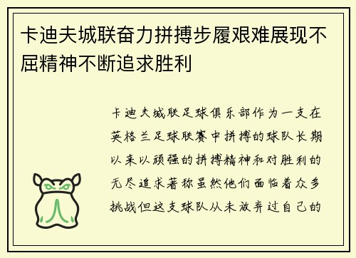 卡迪夫城联奋力拼搏步履艰难展现不屈精神不断追求胜利